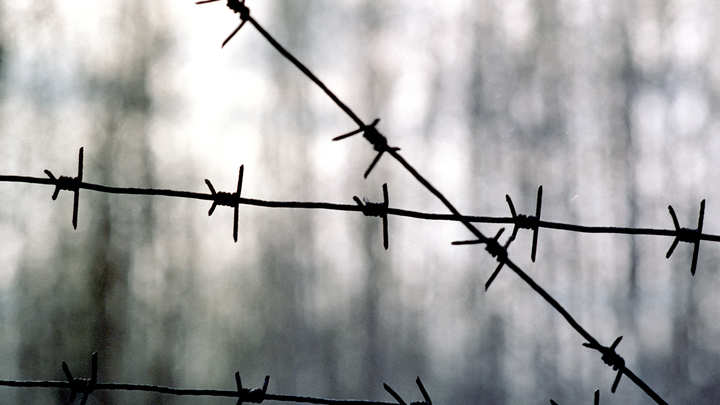 © VITALY IVANOV/RUSSIAN LOOK/GLOBALLOOKPRESS 