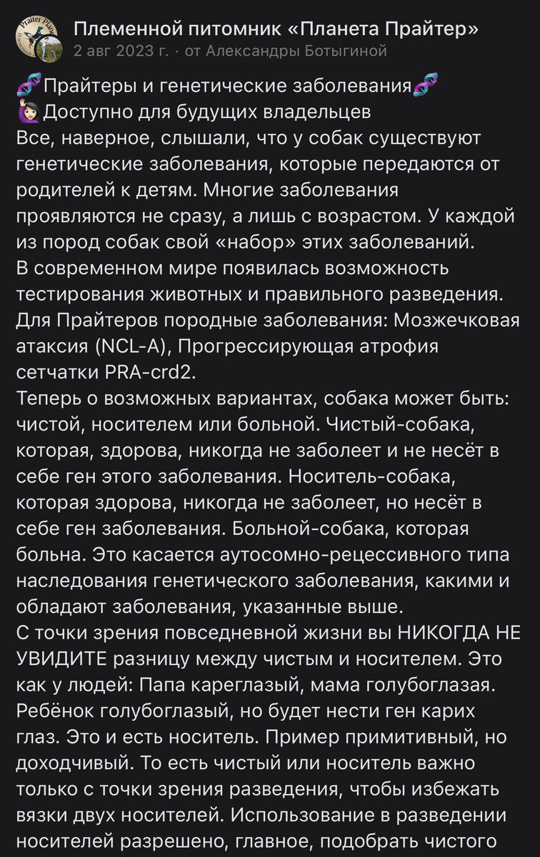 Планирование вязки суки-носителя нужно начинать с обоснования ее вязки