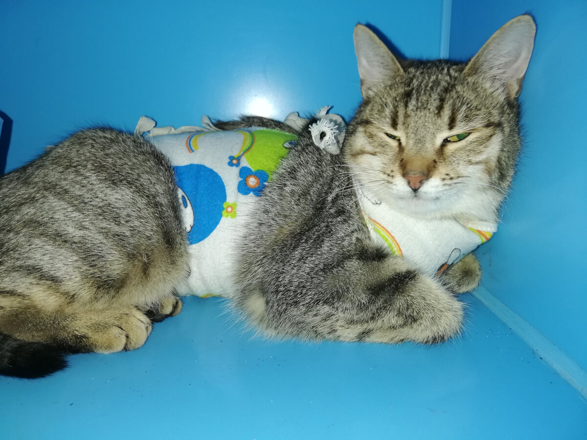 Саня, бывшая Сандра, которую мы поймали вместе с Мяурицио