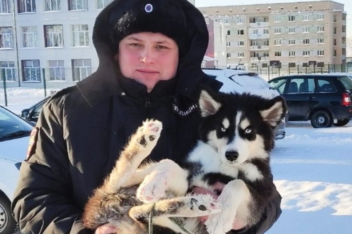    Участковый помог спасти собаку, запертую на балконе дома в Верхнем Уфалее