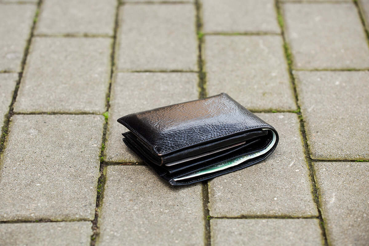    Фото: Anna Ewa Bieniek / Shutterstock.com