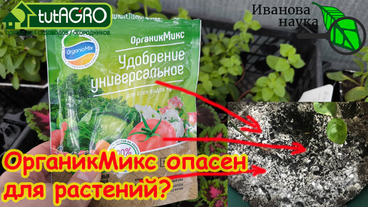 Органик Микс - источник плесени и болезней? Может ли Organic Mix стать причиной потери урожая?