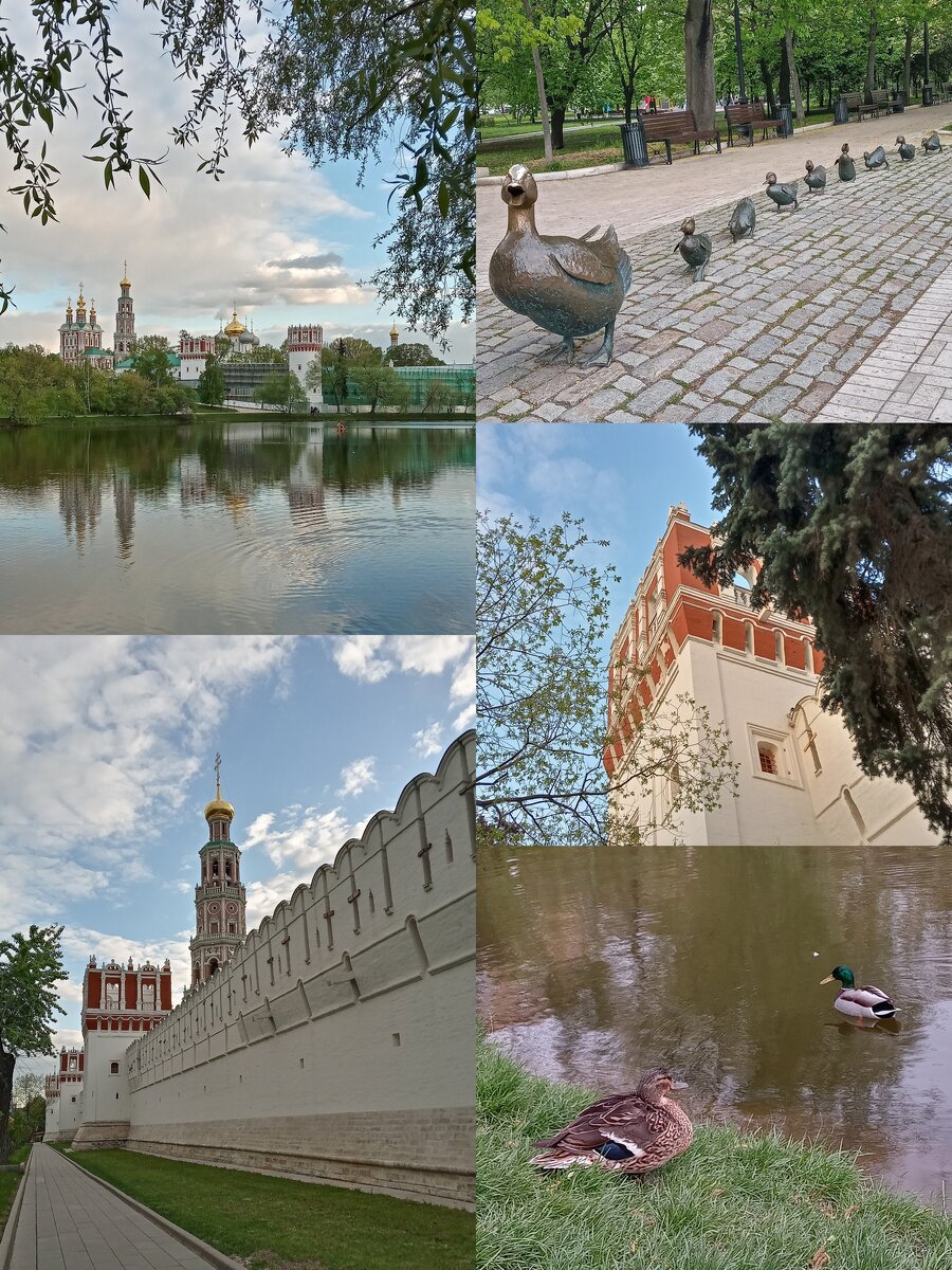 Новодевичий монастырь и скульптура "Дорогу утятам"