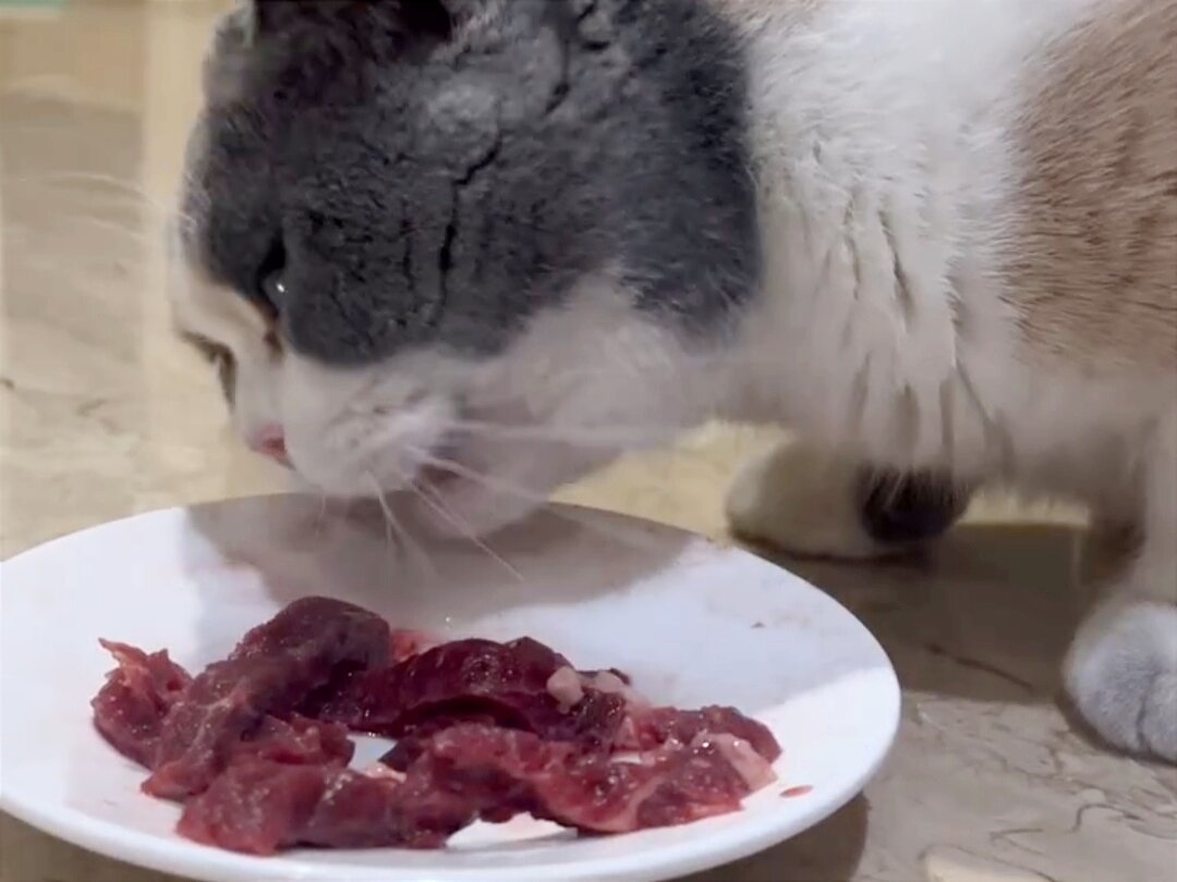 Мясо лучше порезать небольшими кусочками