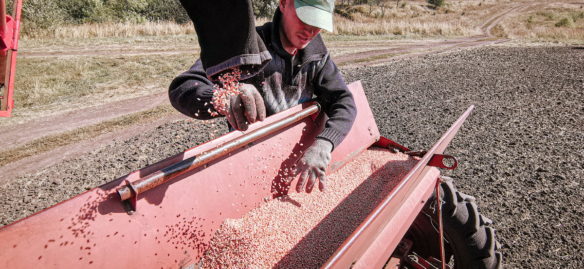 Сезон работы в поле. 