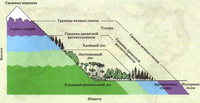 Кавказ природная зона на этой широте. Высотная поясность у географической оболочки. Зональность Высотная поясность. Закономерности ВЫСОТНОЙ поясности. Природные зоны Широтная зональность и Высотная поясность