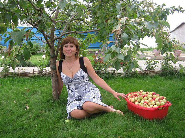 Яблочками балуемся.