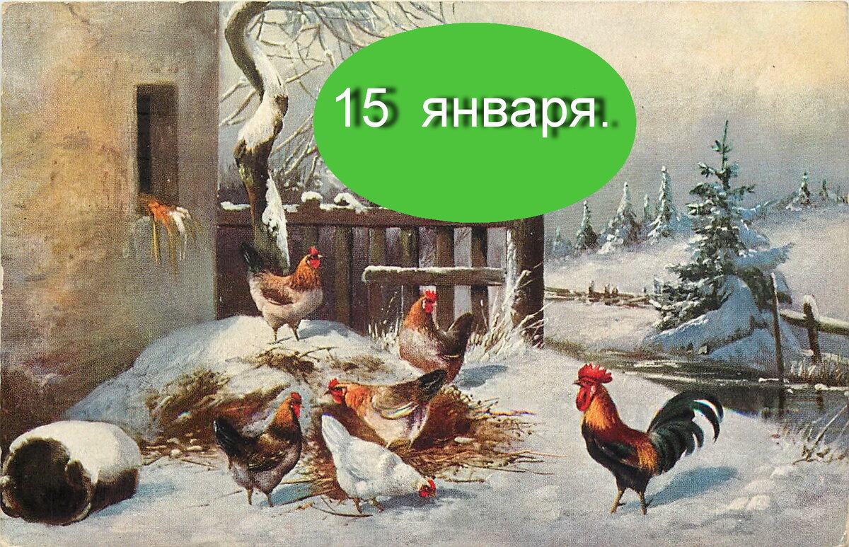 15 января. Не готовь это - счастье потеряешь. Молитва от болезней ног.  Заговор на замужество . Заговор , чтобы куры неслись. | Бабушка с мишуткой  . | Дзен