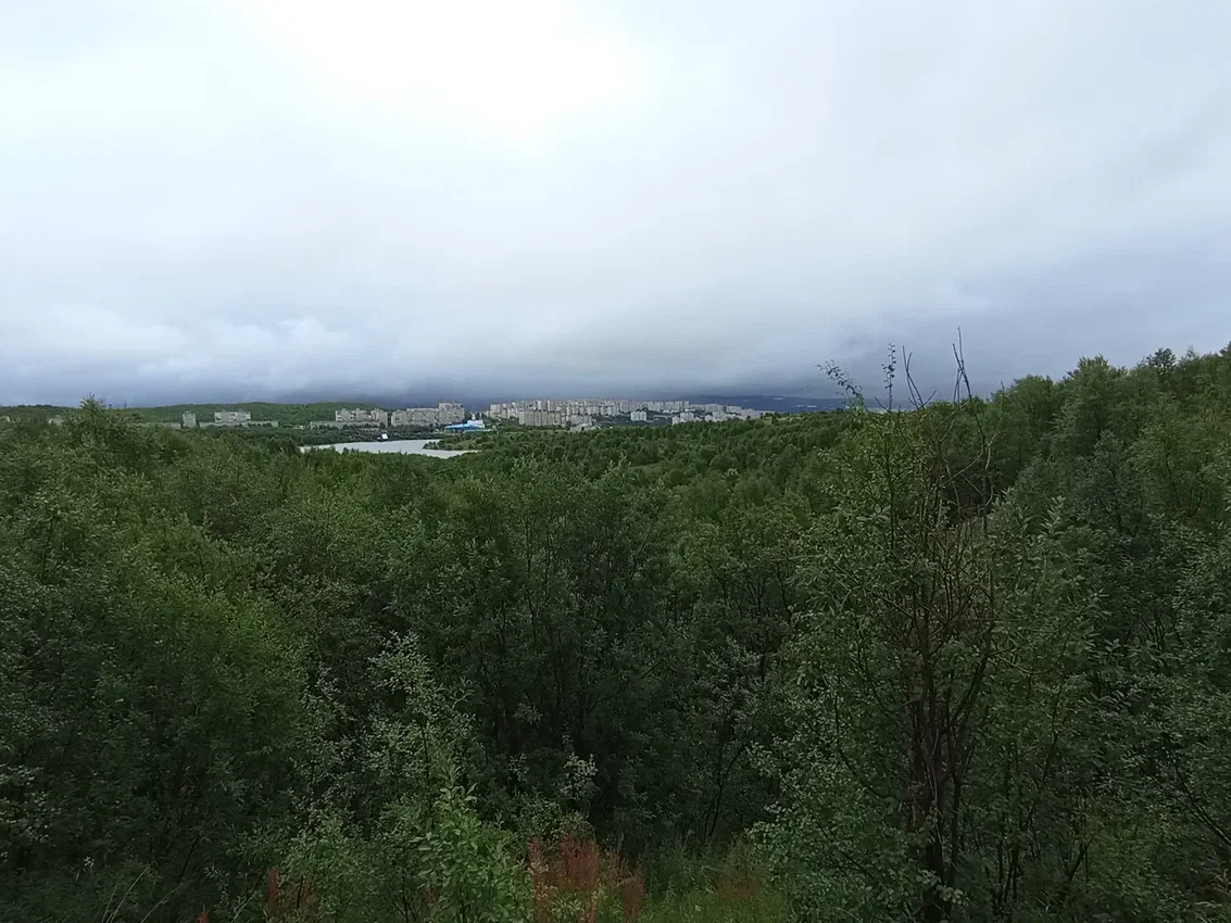 Мурманск: дождь и холод не помеха для знакомства | Записки у изголовья |  Дзен