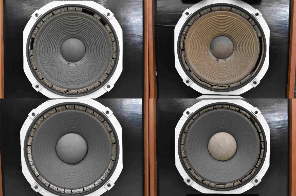 Вот так выглядят АС с разрушившимися подвесами.