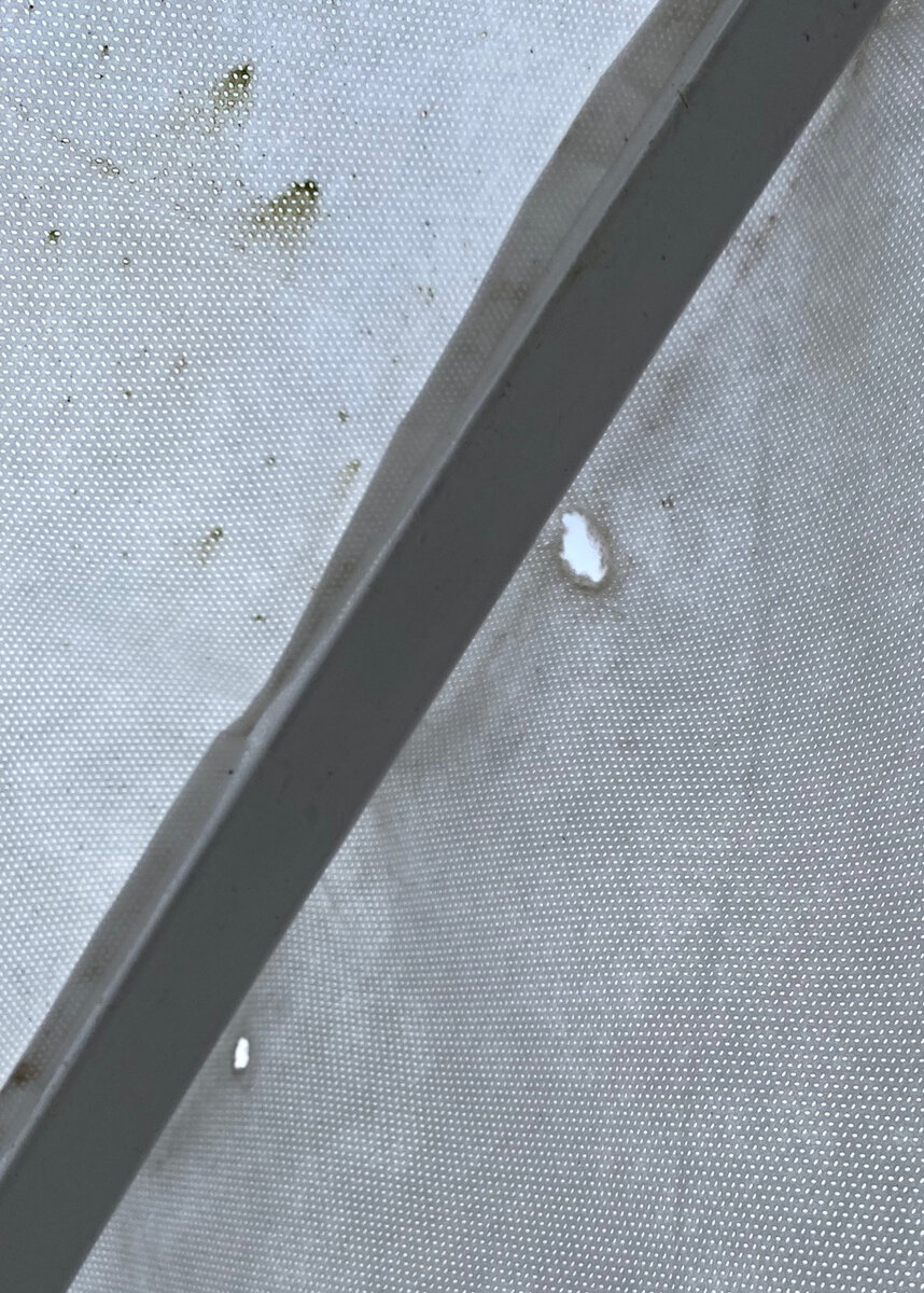 Против сорок прочность оказалась не достаточна.