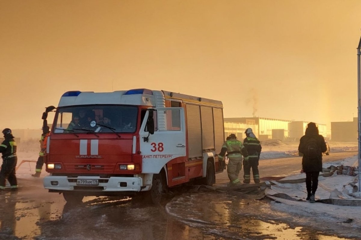 Меньше налогов». Сгоревший склад в Шушарах работал без ввода в эксплуатацию  | АиФ – Санкт-Петербург | Дзен