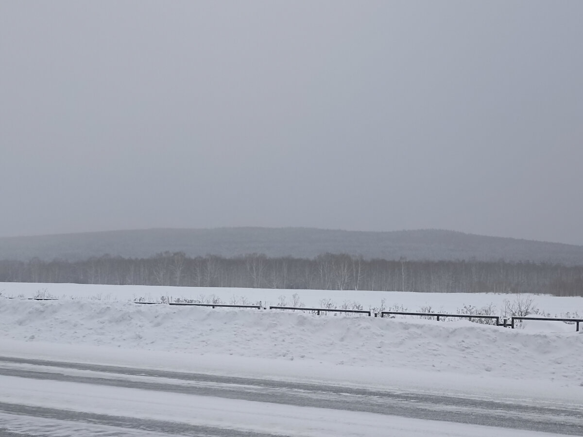 Поле и лес напротив нашего дома 
