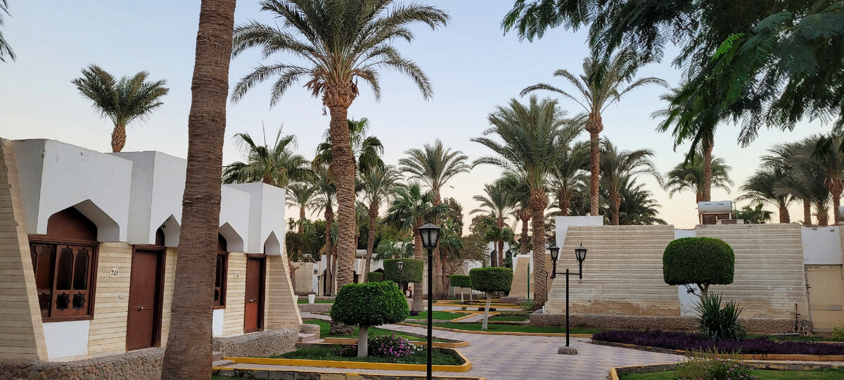 Отель ZYA Regina Resort & Aqua Park 4* Хургада, Египет