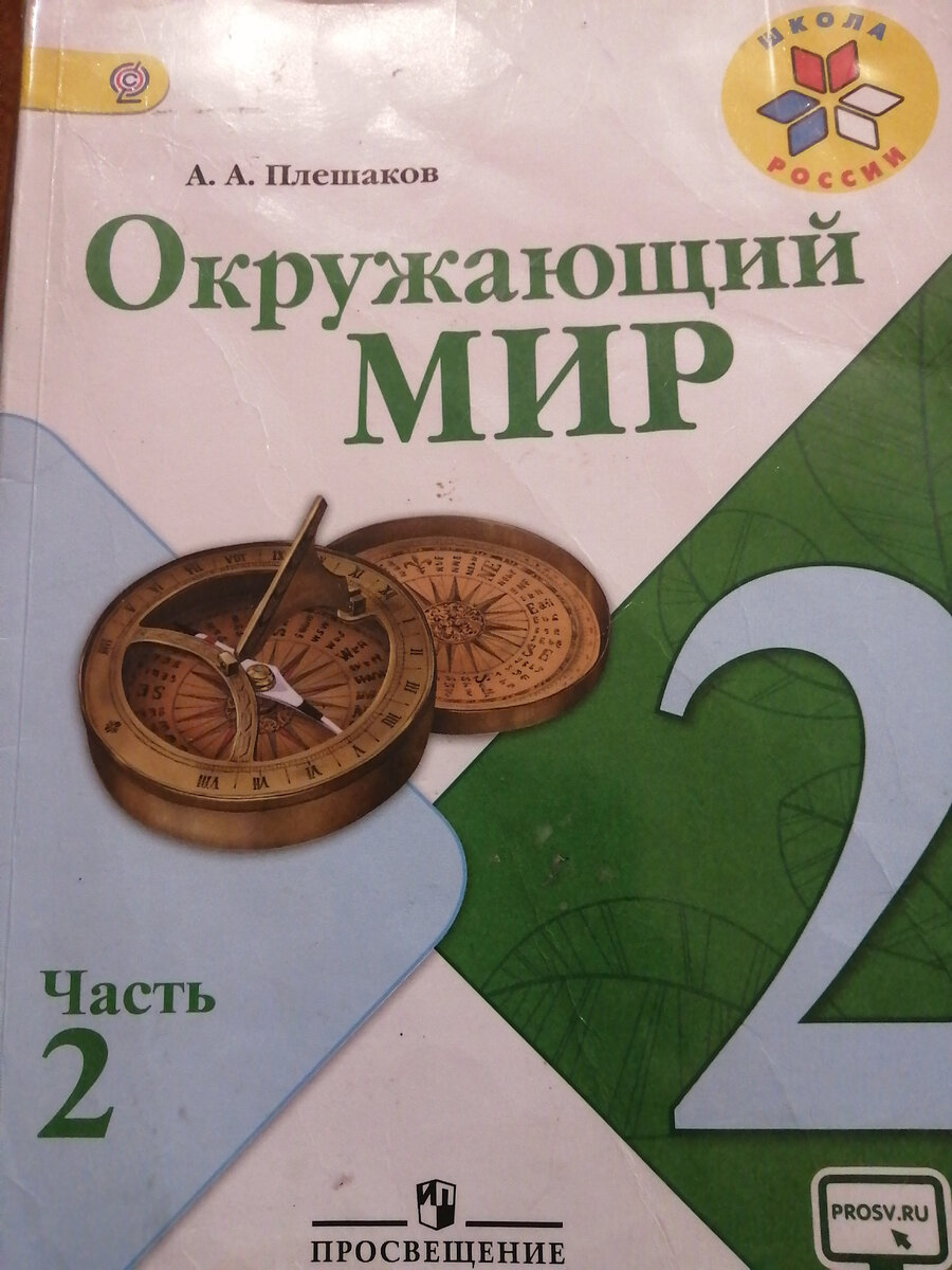 Окружающий мир Плешакова- уникальный учебник | Семья Басовых | Дзен