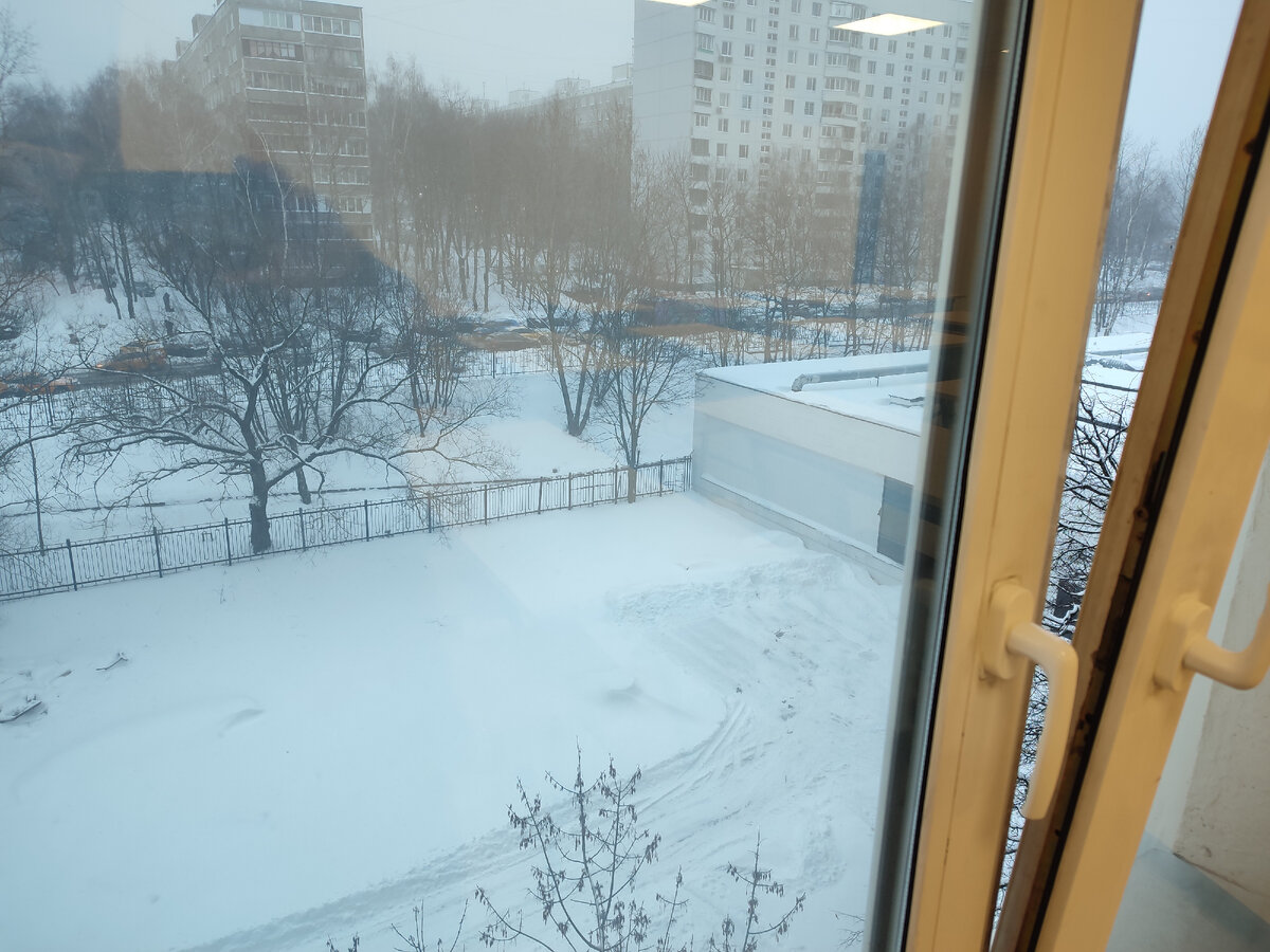 Вид из окна из аудитории, в которой вчера проводился экзамен.