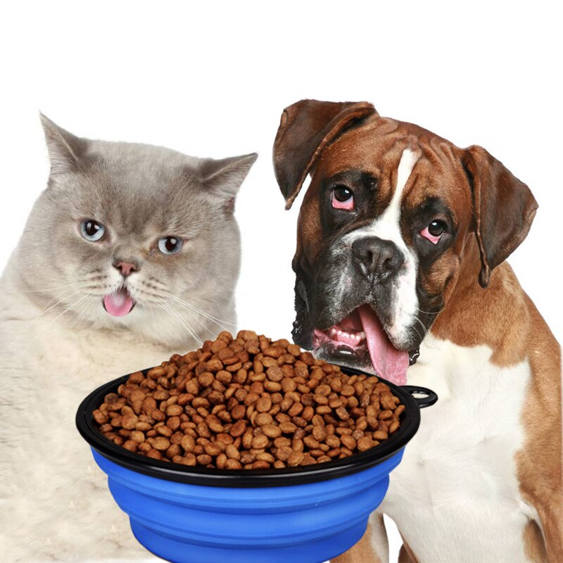 Выбор корма для кошек и собак – это важный вопрос, который стоит перед каждым владельцем этих домашних животных. Ведь от правильного питания зависит здоровье и благополучие вашего питомца.
