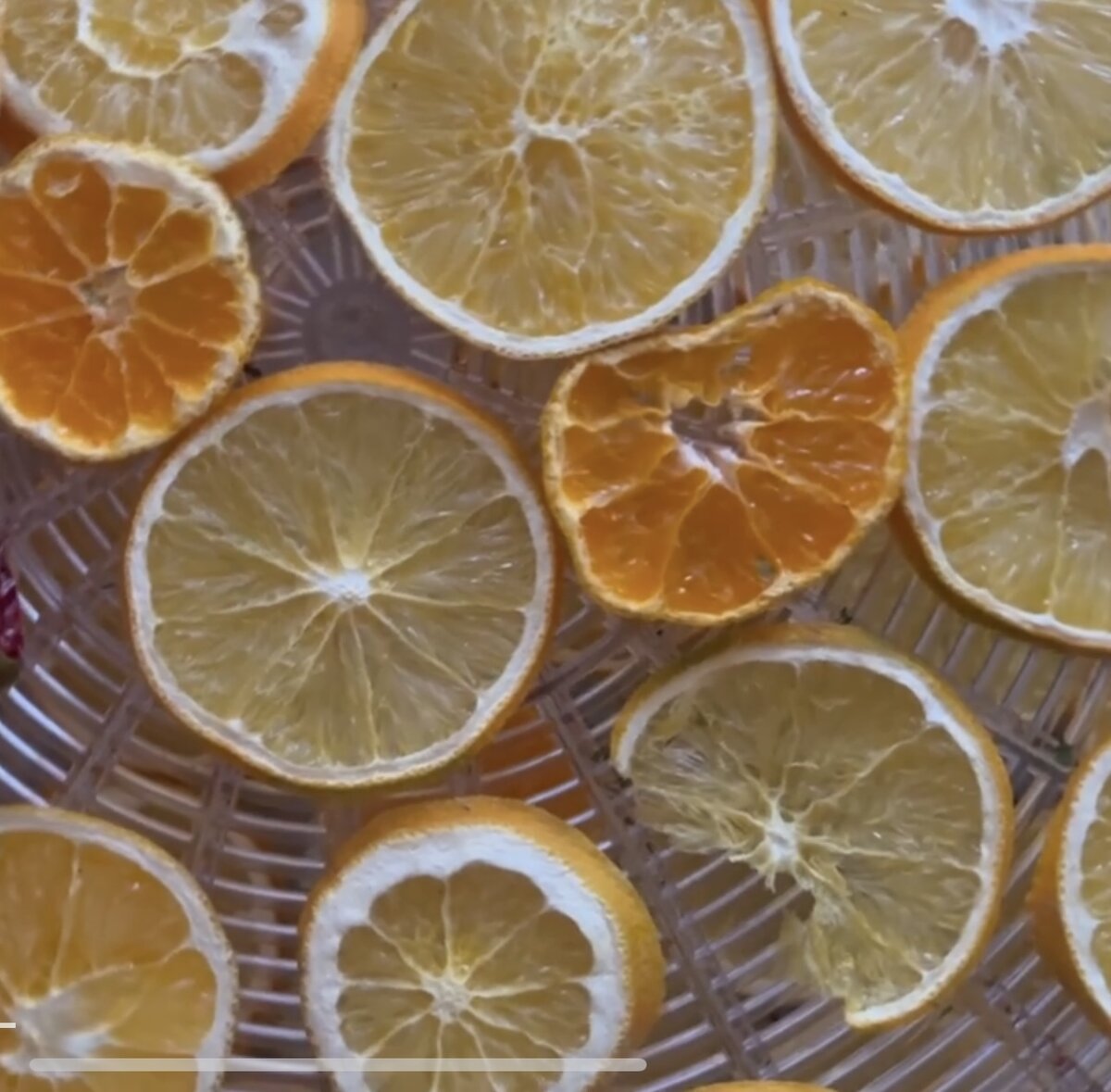 Фото автора. Мандарины рыженькие и апельсины желтенькие.