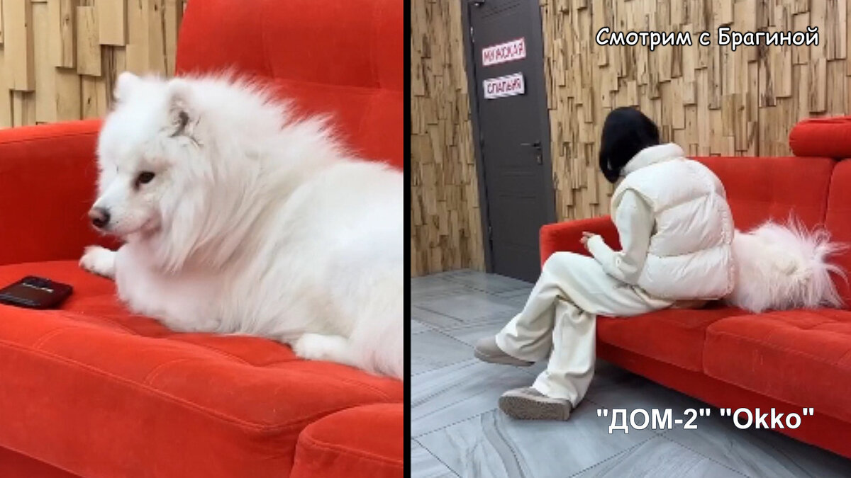 Фото: соцсети