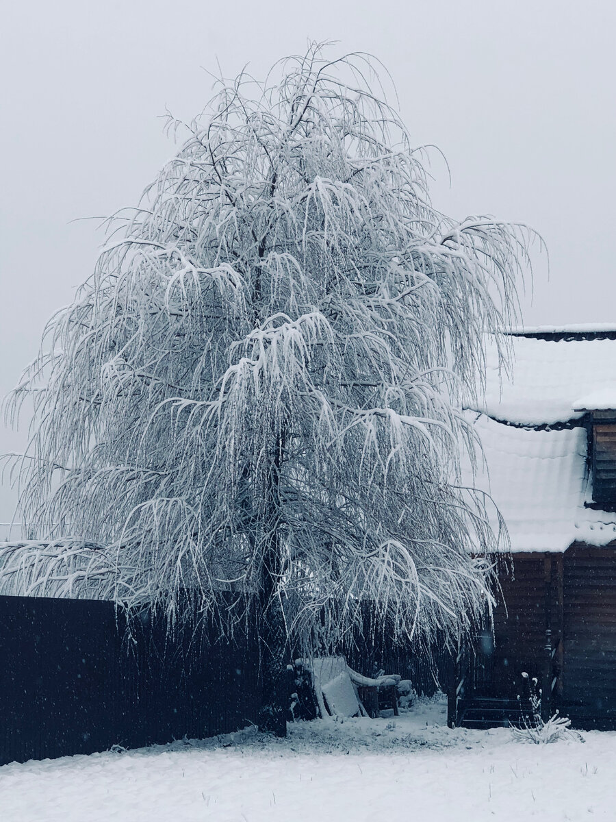 Почему зимой хочется участок поменьше | Городские в деревне | Дзен