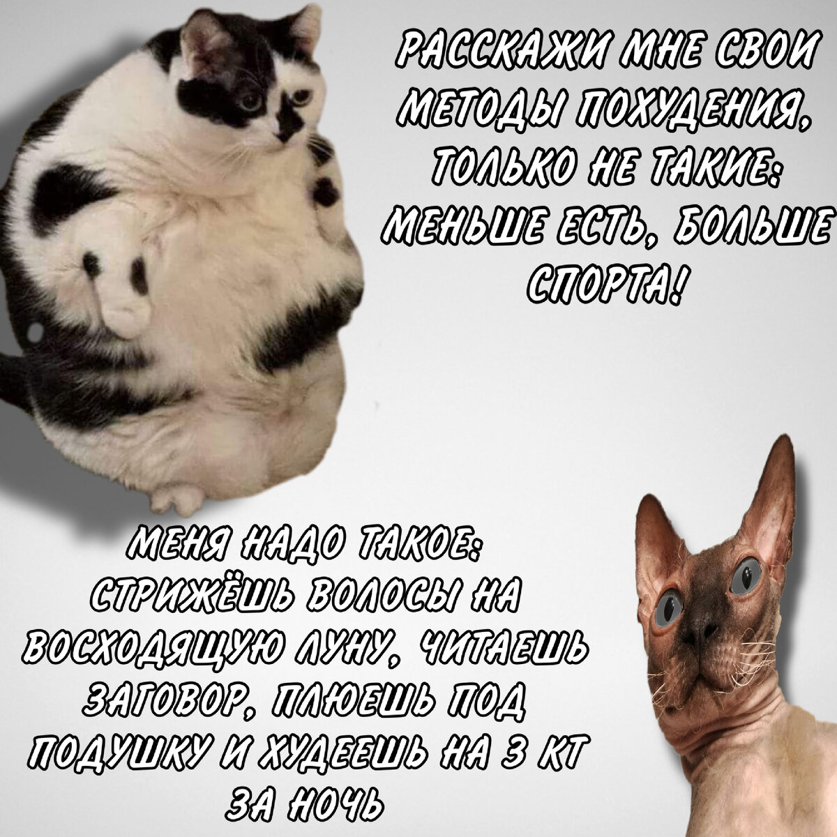 Картинка сделана в приложении пикс арт собственноручно