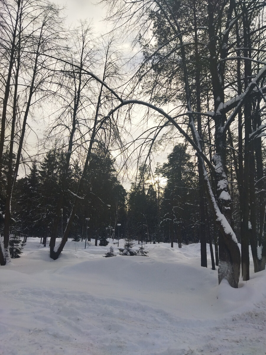 Солнце в январе 