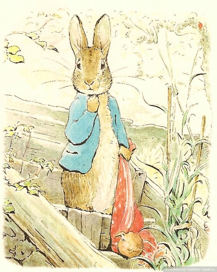 Книжная иллюстрация Беатрикс Поттер. "Сказка про Питера Пуша"...уголок платка снова выскользнул из кулачка Питера Пуша, и лук опять рассыпался...pinterest.com