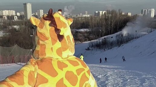 Самые известные отбивки квн. Рубрика от ледка. Ледок. Рубрика от ледка. Рубрика от ледка.