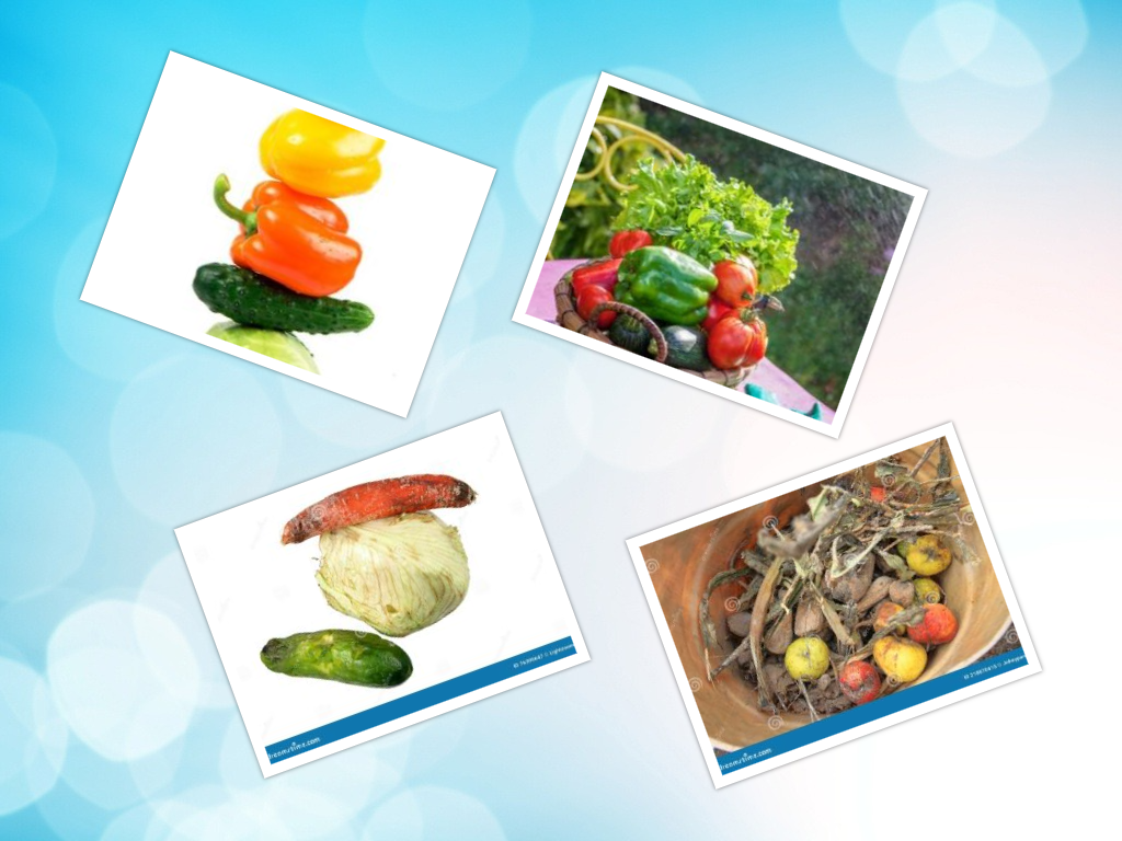 коллаж автора