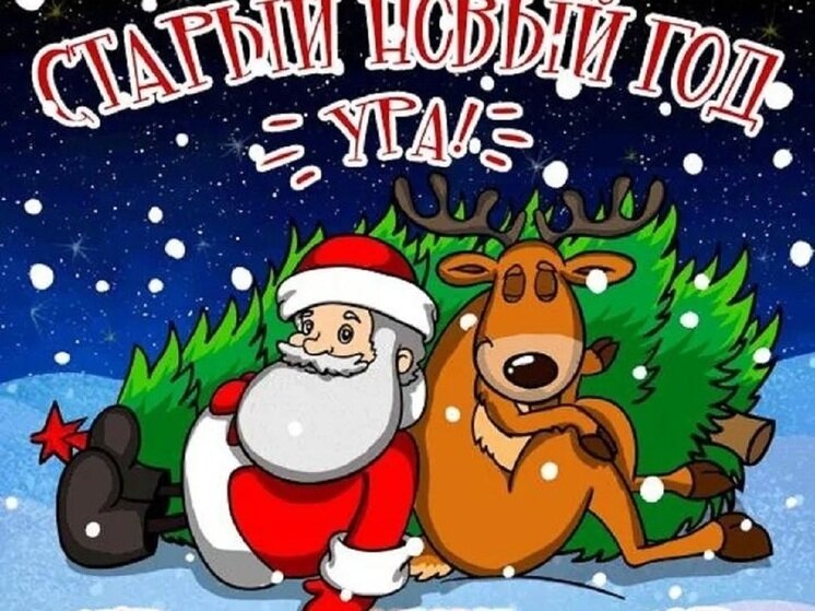     Фото с сайтов: proprikol.ru, imgimg.co.