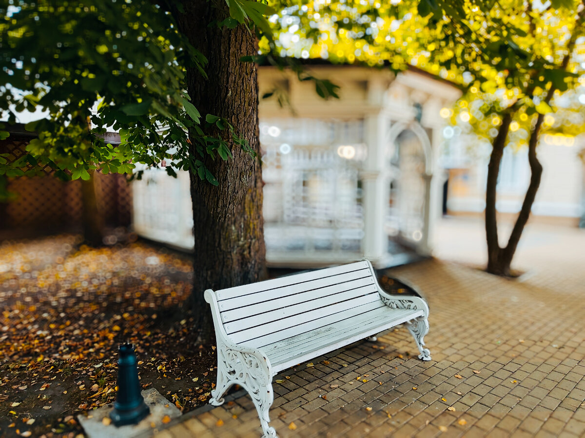 Все фото автора. 