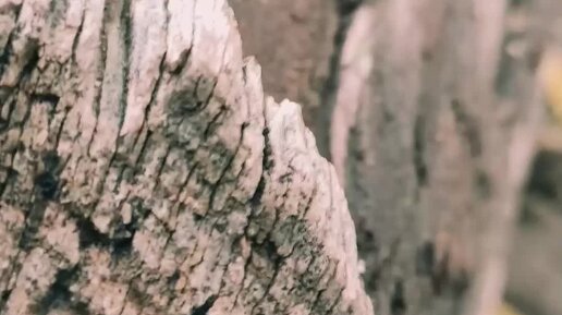 ульяновск фото. президиум академии наук ссср. 7 ноября 1934 г. ген осомблея оон 1946 года. клуб в селе ряженое старая фотография.