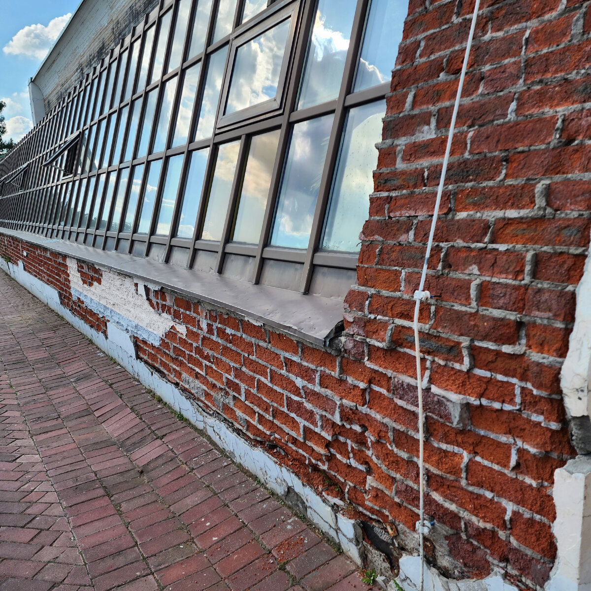 Виноградная оранжерея осенью