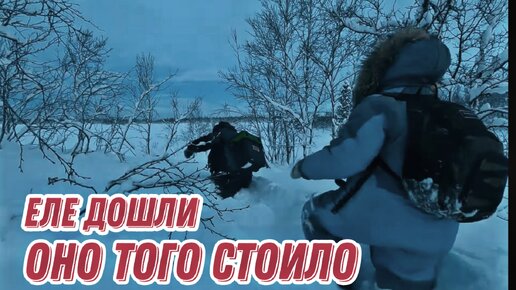 ПОКЛЁВКА за ПОКЛЁВКОЙ на тундровом озере. Такого мы не ОЖИДАЛИ.