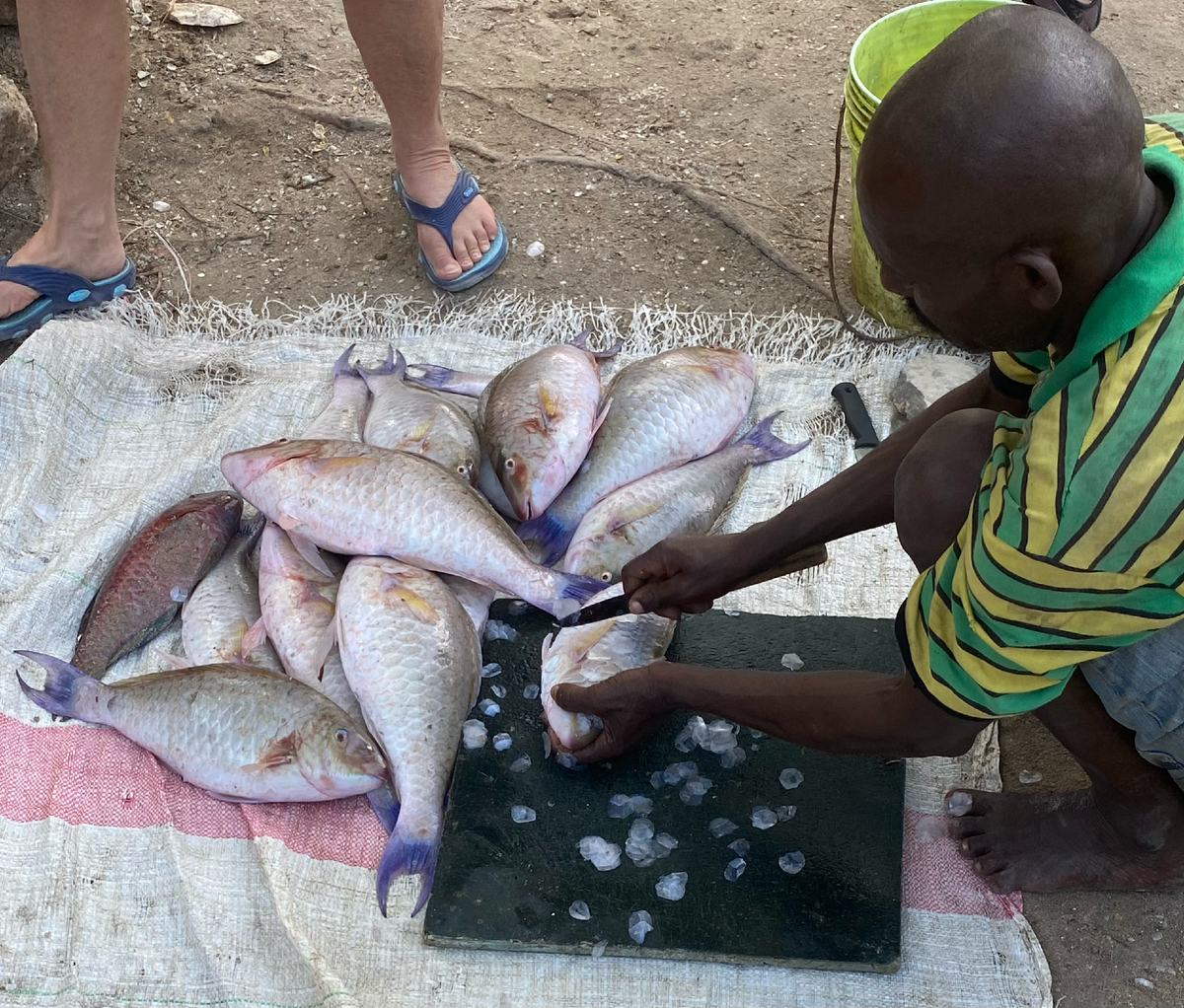Чистят, разделывают, продают