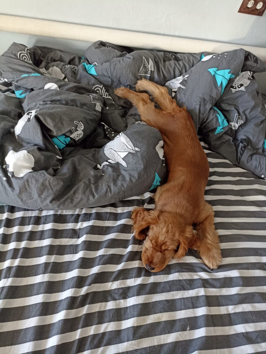 Фото автора канала. Марфа.