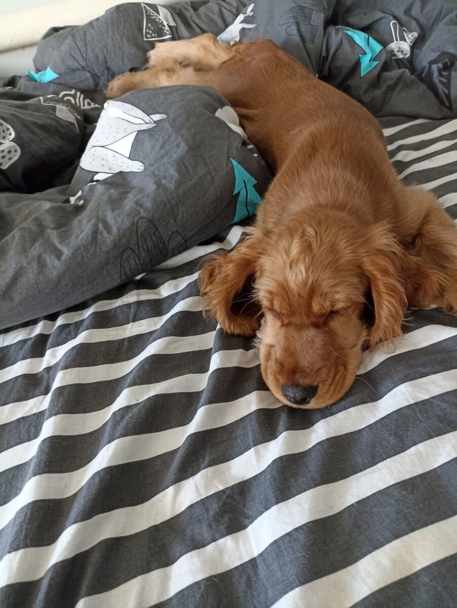 Фото автора канала. Марфа.