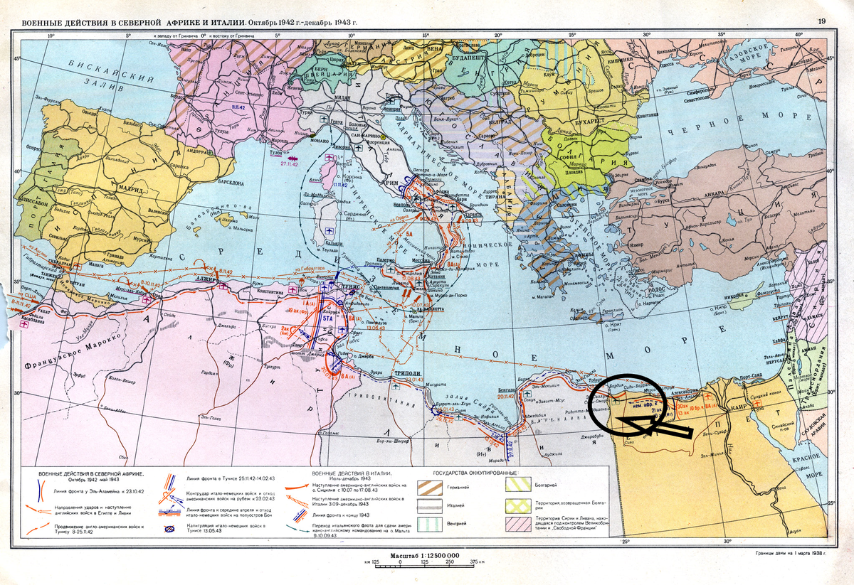 Ржевско-вяземская наступательная операция 1943. Битва сталинграда 23 августа 1942. Сталинградская битва карта 17 июля 1942. Пётр болото герой сталинградской. 1943).
