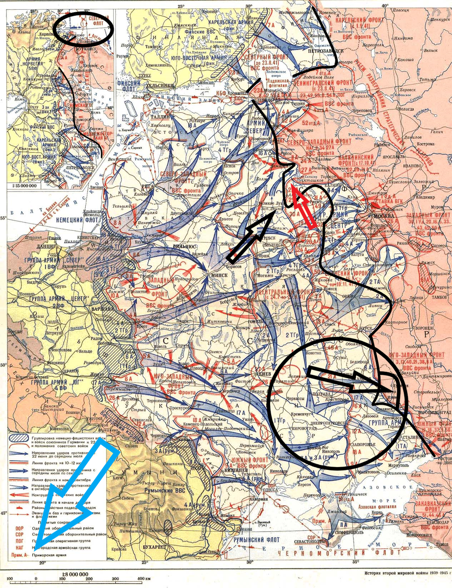 (Фото взято из открытых источников).