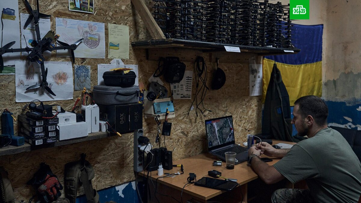    Фото: Associated Press © 2024