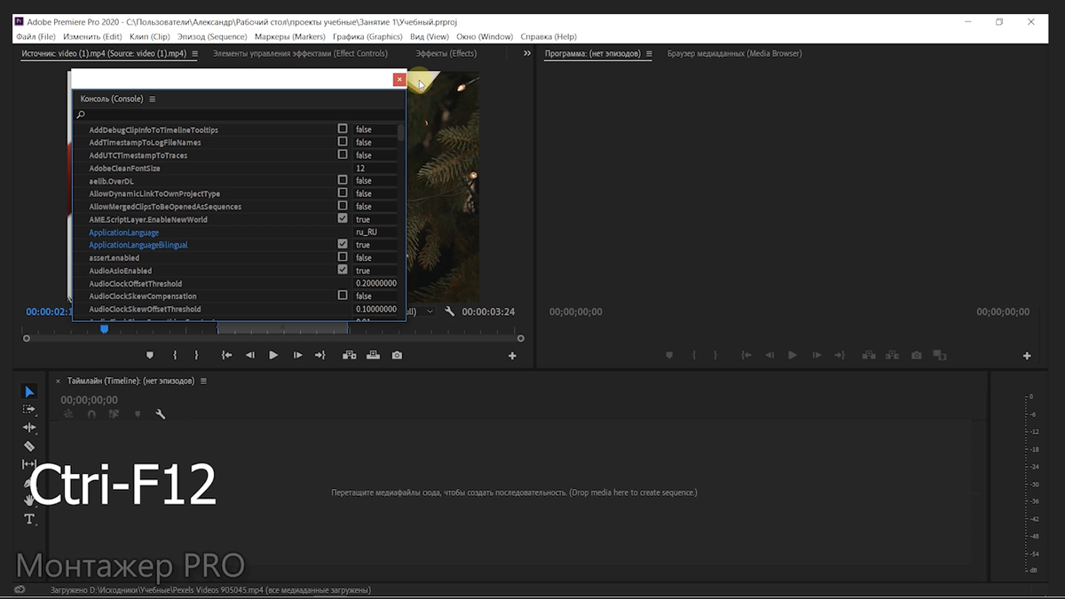 Консоль в Adobe Premiere Pro 2020