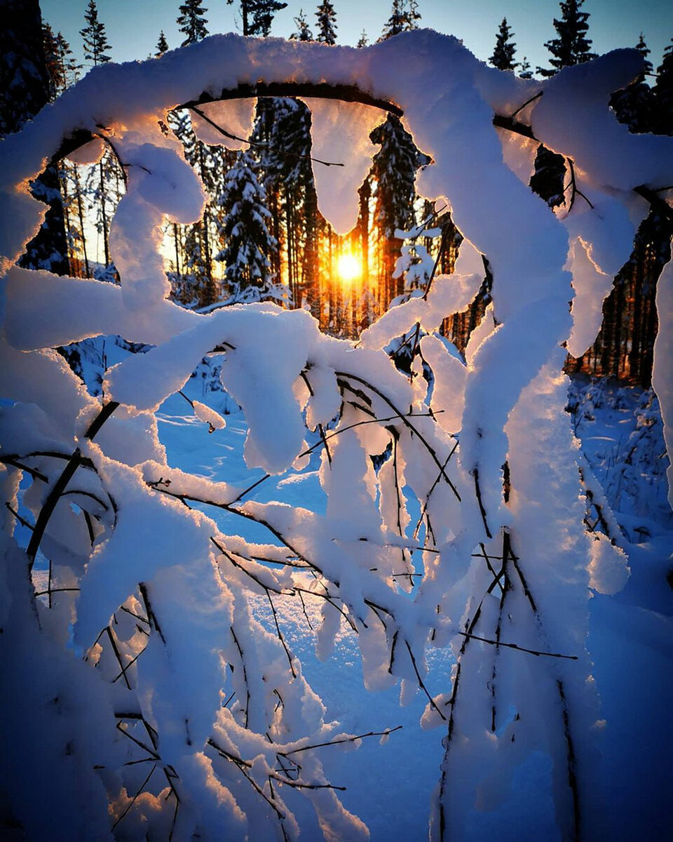 Яндекс. Открытый источник 