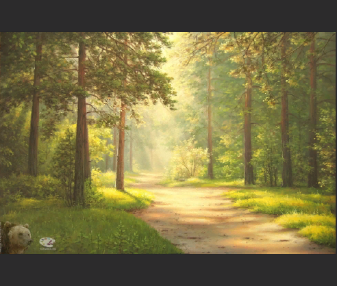 Фото взято из свободных источников