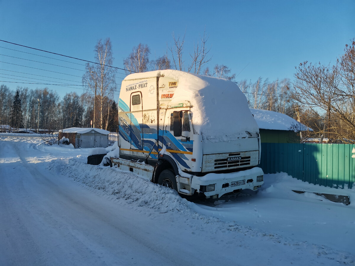 Заснеженный друг.