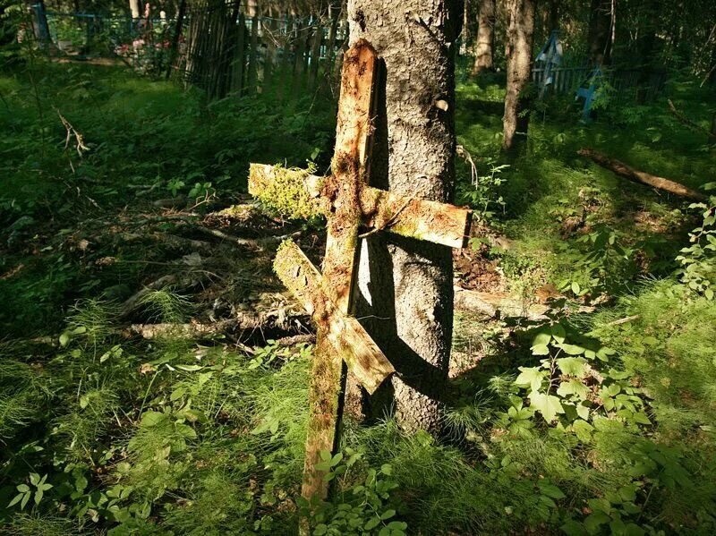 Изображение взято из открытых источников интернета. 