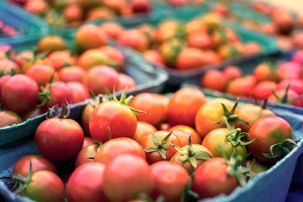    Фото: Cheerfully_lost / Pixabay.com