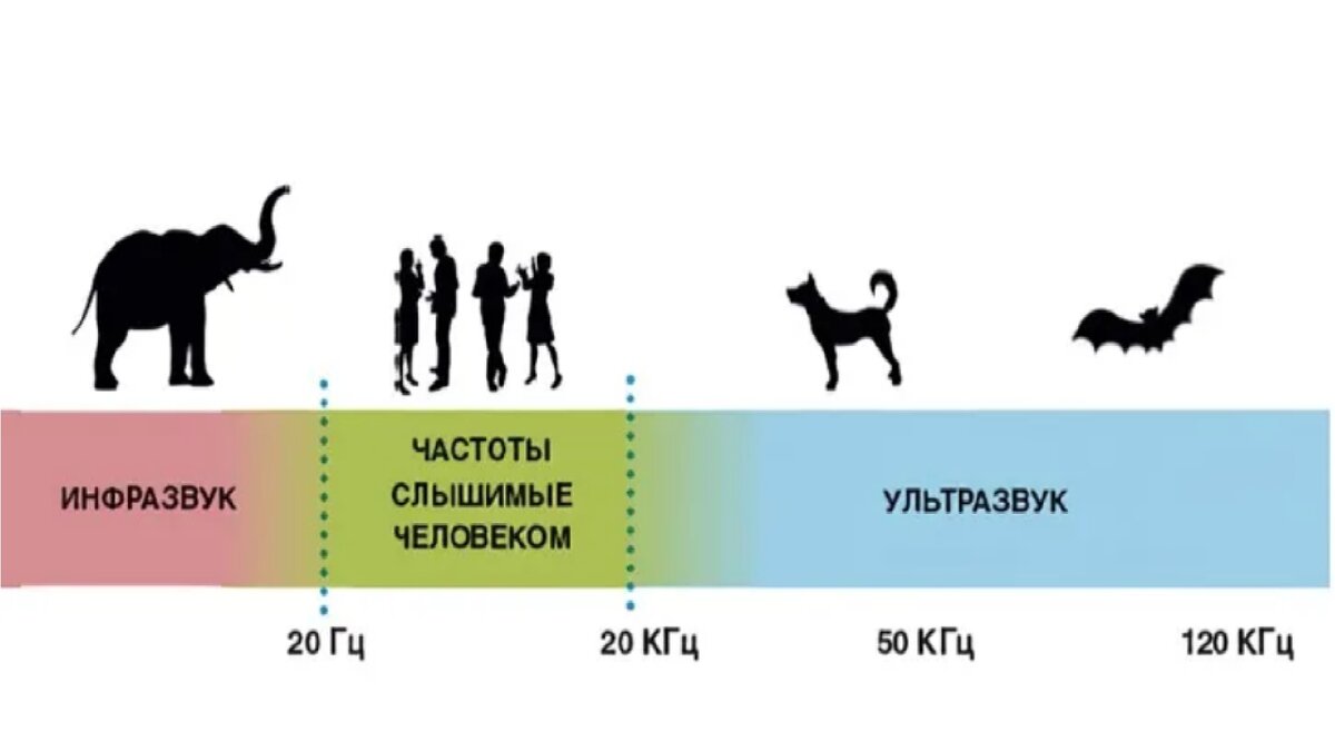 какой звук слышно дальше
