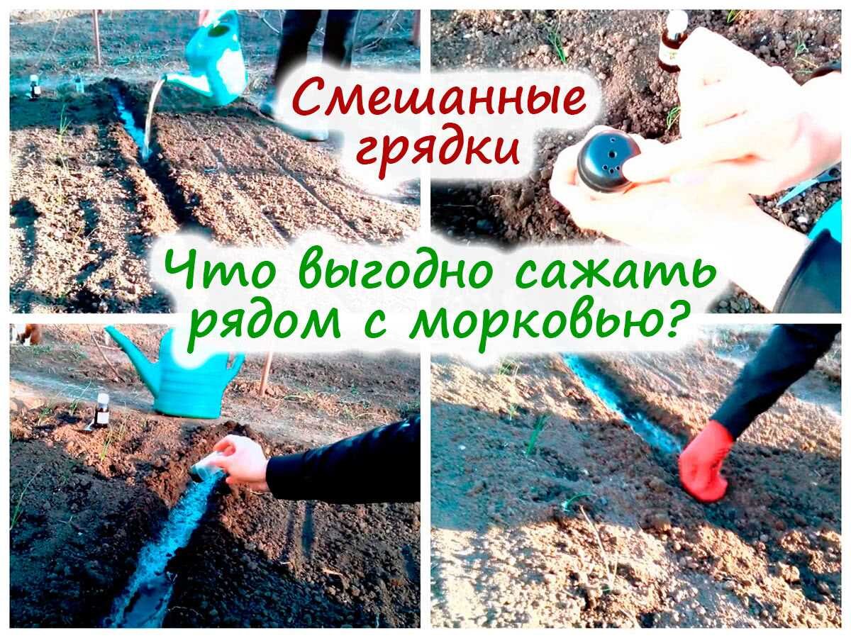 Выберите один правильный ответ культура это