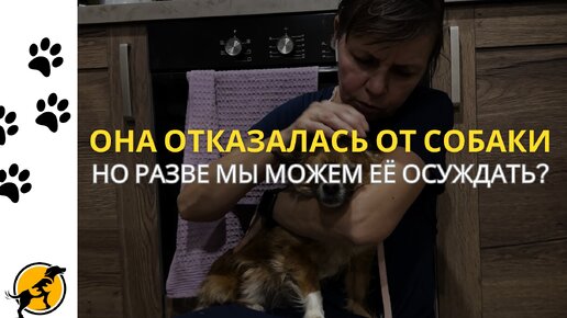 Она отказалась от собаки, но разве мы можем её осуждать?