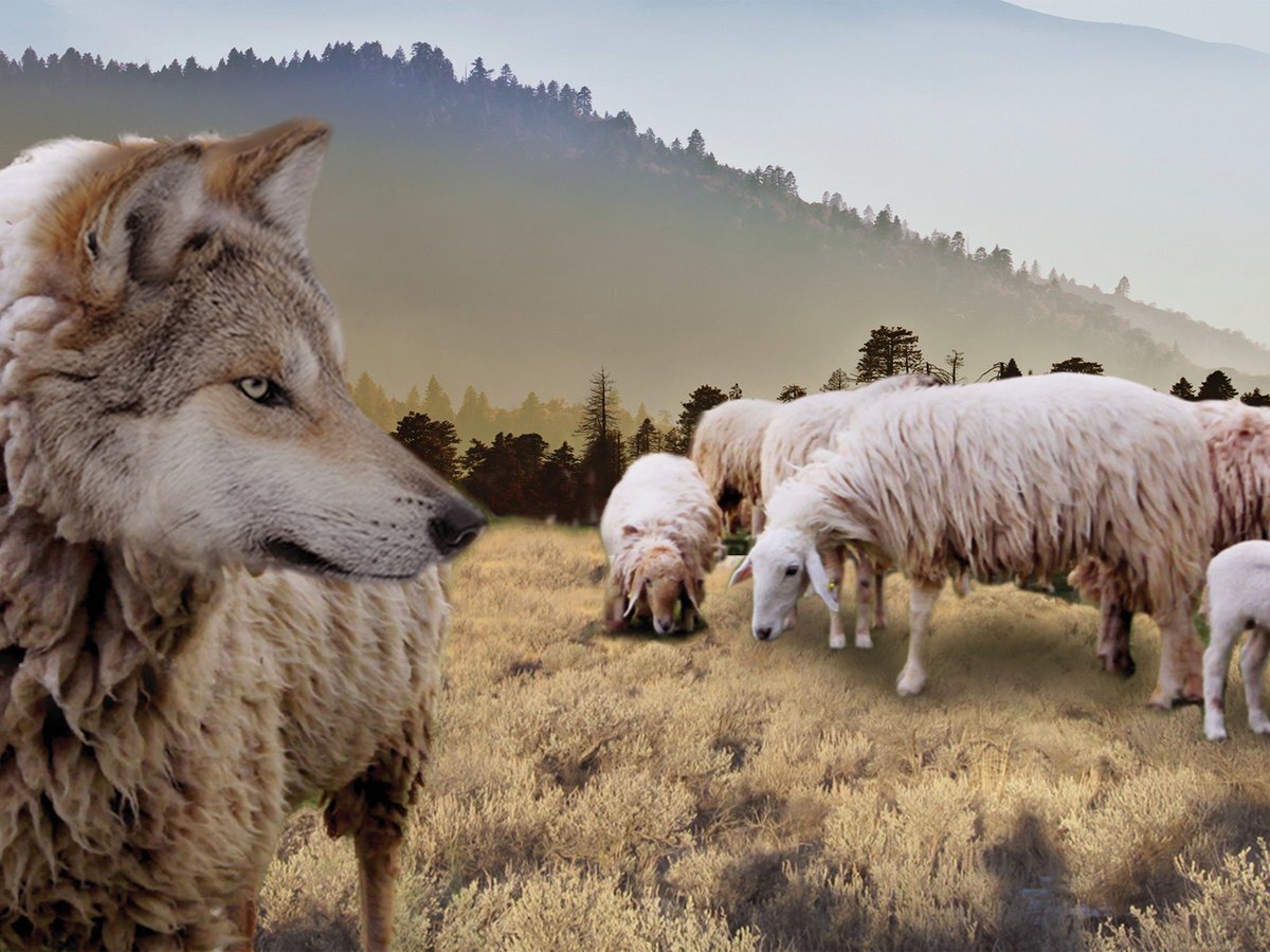 Картинка из Интернета